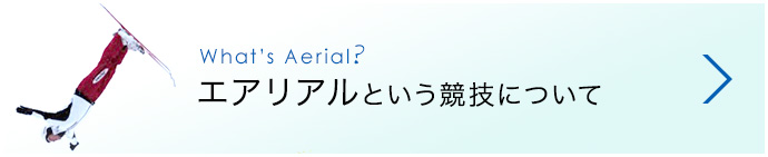 What's Aerial? エアリアルという競技について